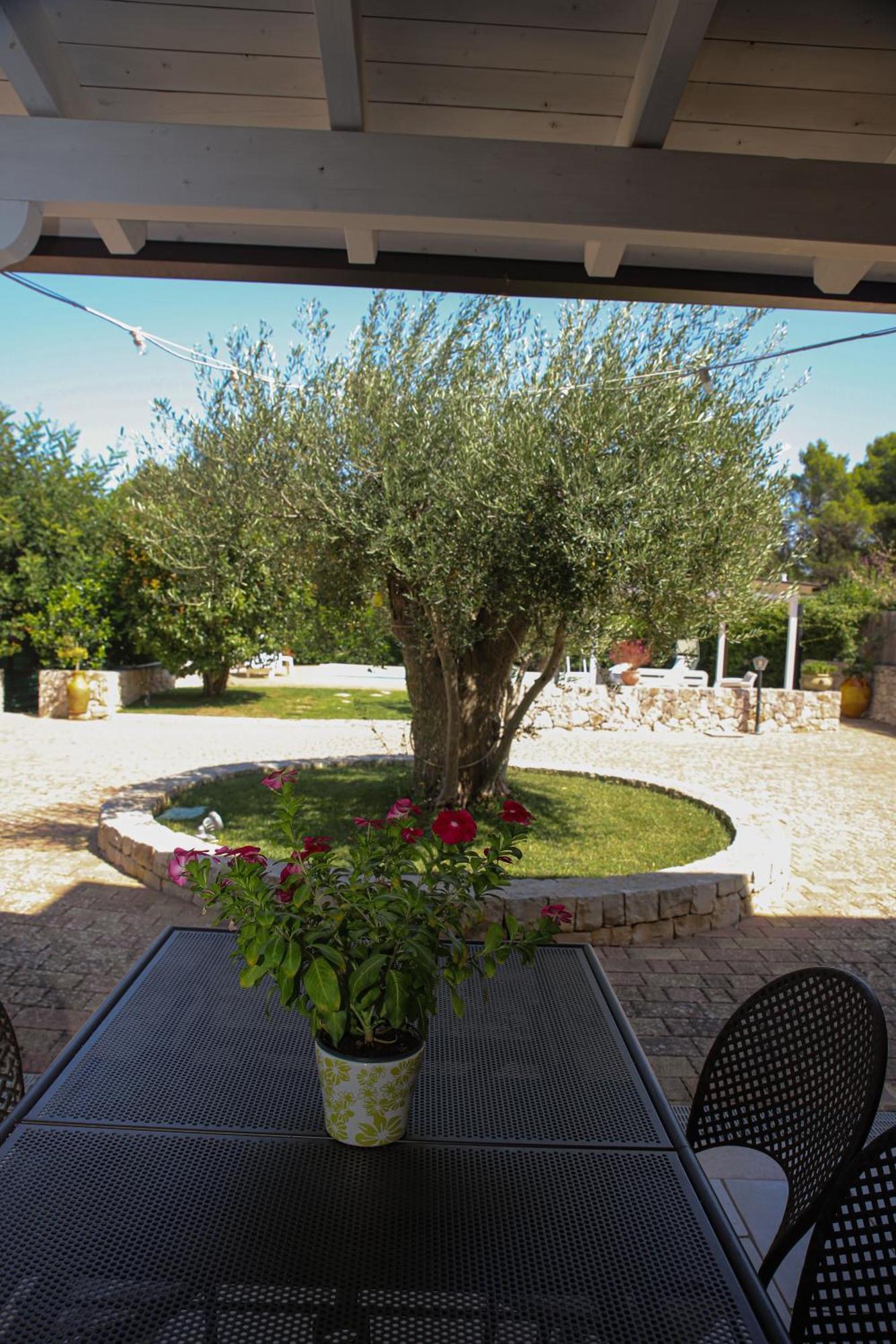 Villa Arisa With Pool Selva Di Fasano Exterior foto
